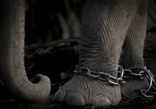 Photography by Charlotte Keast