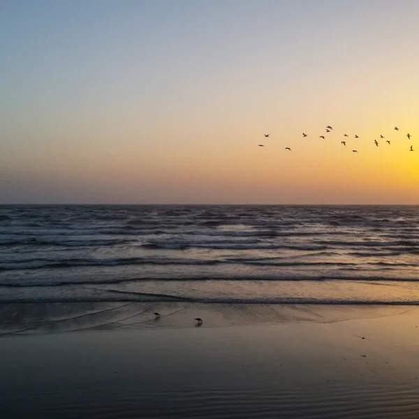 Seaview__Karachi