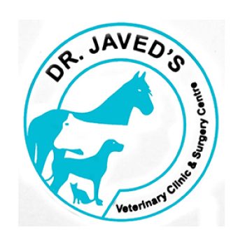 dr javed animal