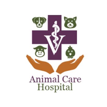 karachi animal hospital