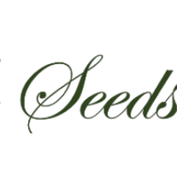 the seeds school
